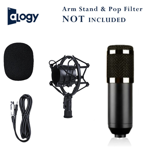 BM800 Condenser Microphone - 4 In 1