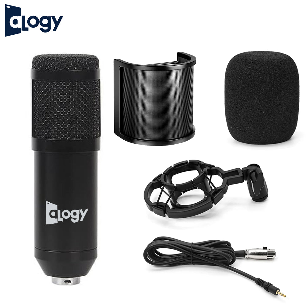 BM800 Condenser Microphone With U-Shaped Pop Shield - Black