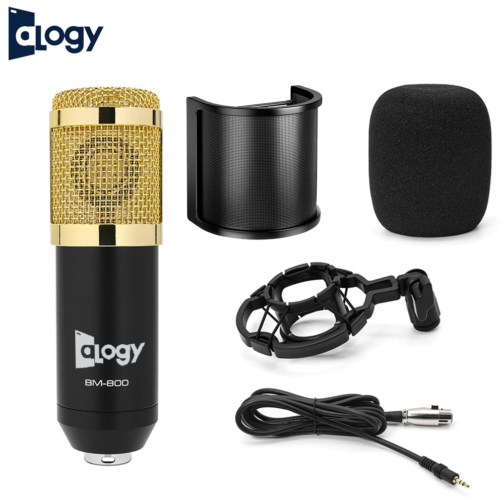 BM800 Condenser Microphone With U-Shaped Pop Shield - Gold