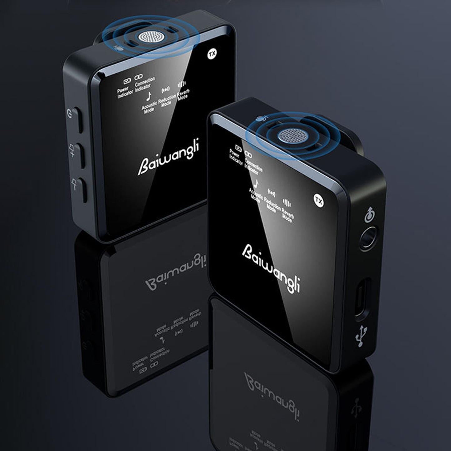 Wireless Microphone SX39 - Double